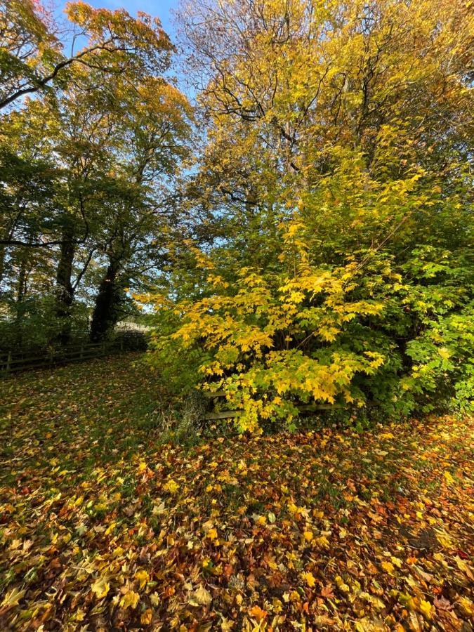 East Learmouth Lakeside Camping *