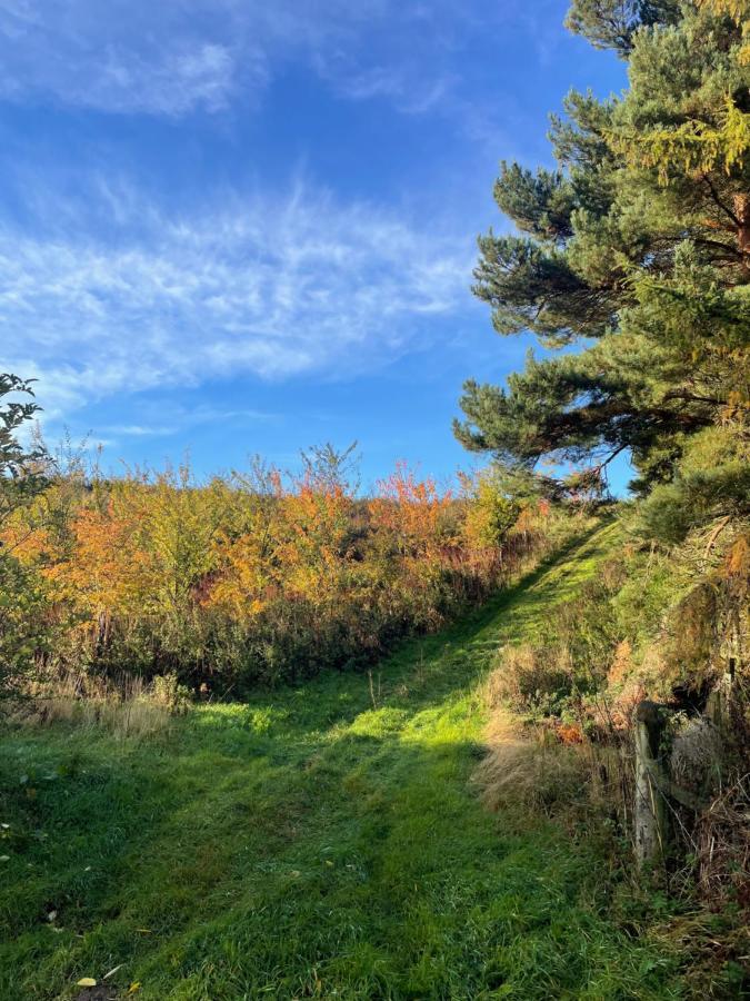 East Learmouth Lakeside Camping *